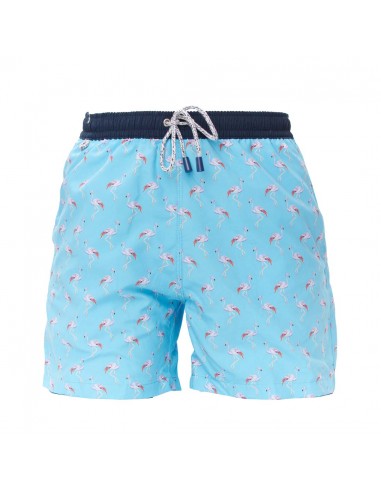 MS4705 - Flamant rose turquoise en stock